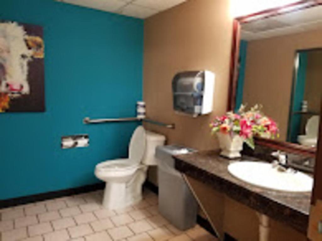 a bathroom with a toilet and a sink and a blue wall at Baymont by Wyndham Ardmore I-35 in Ardmore