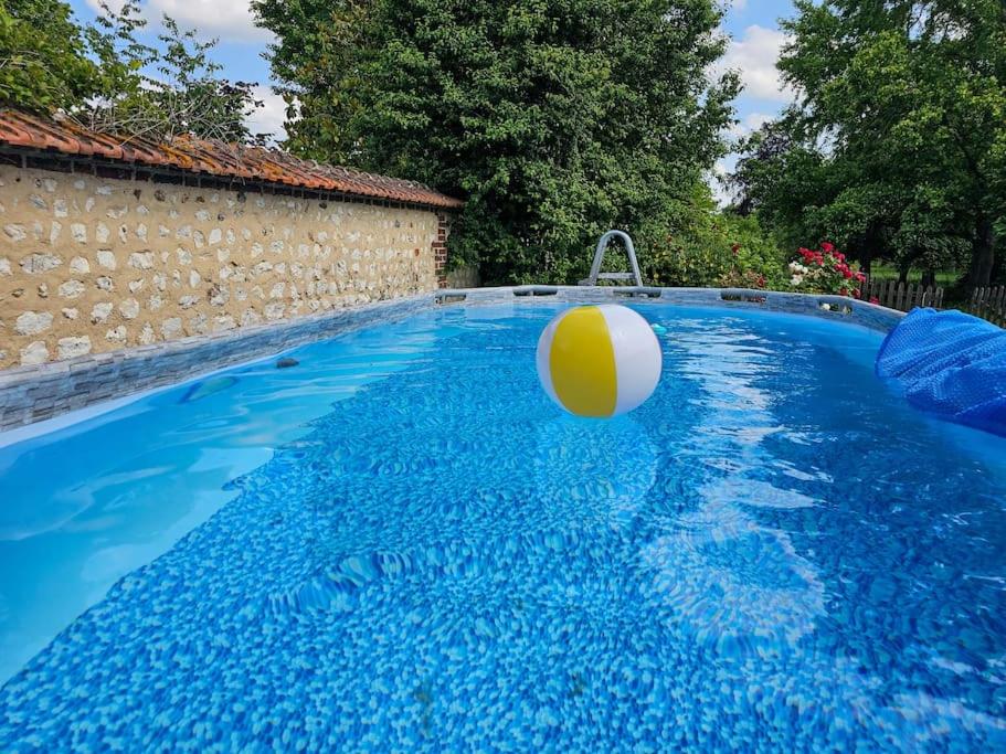 - une piscine avec un ballon de plage dans l'eau dans l'établissement Campagne & bords de Seine - Collection Idylliq, à Muids