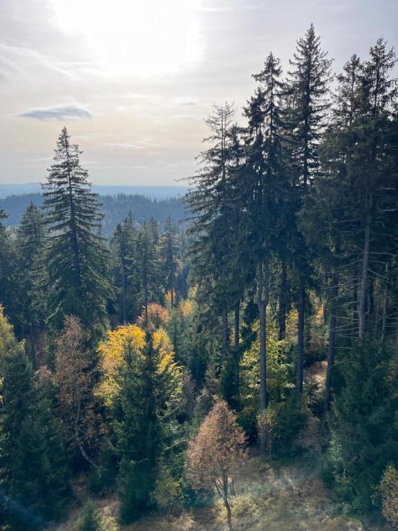 Příroda nedaleko apartmánu