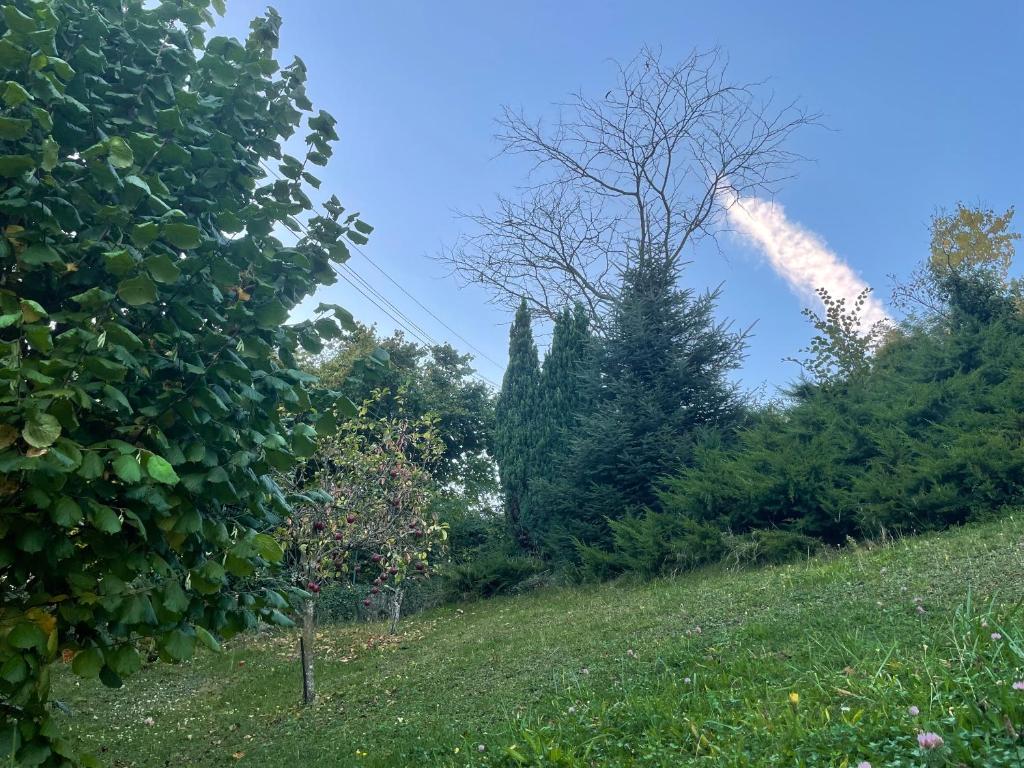 Zahrada ubytování L'Impasse en Famille, appartement 2-6 personnes piscine et spa privés