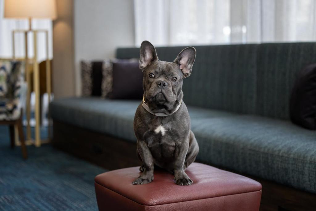 Hampton Inn Cleveland-Downtown - 