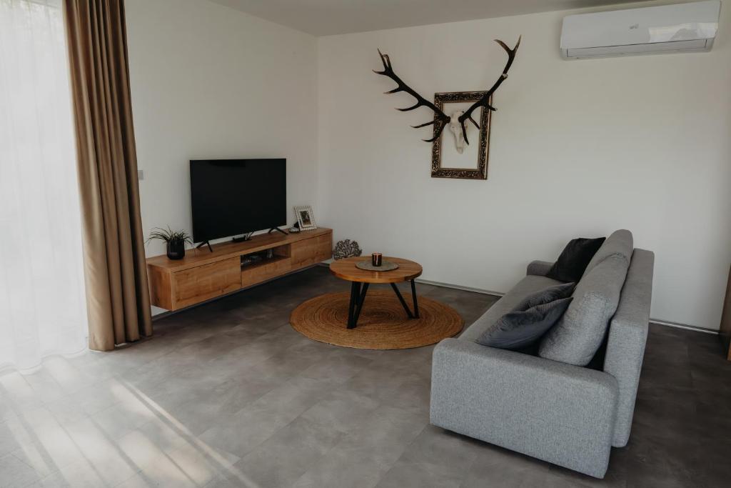 TV a/nebo společenská místnost v ubytování Apartmán Ústí
