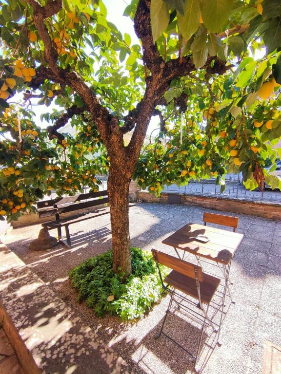 a table and a bench next to a tree at Casa degli Affreschi Tuscany in San Rocco a Pilli