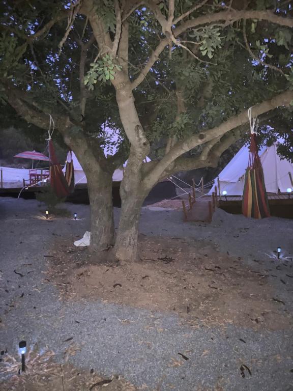 Zahrada ubytování Finca El Escondite