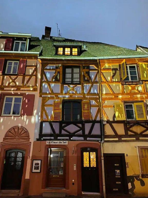 À la petite Venise hyper centre Colmar – photo 5