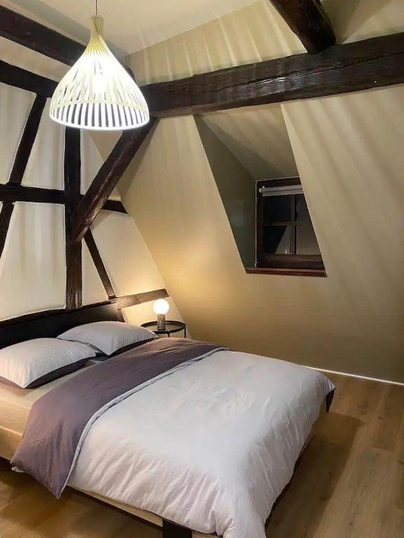 À la petite Venise hyper centre Colmar – photo 2