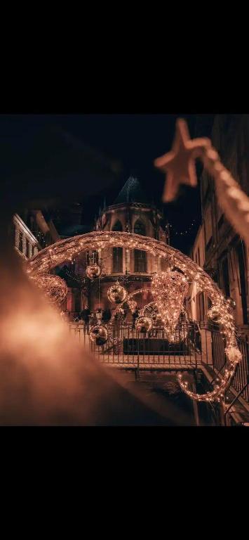 À la petite Venise hyper centre Colmar – photo 9