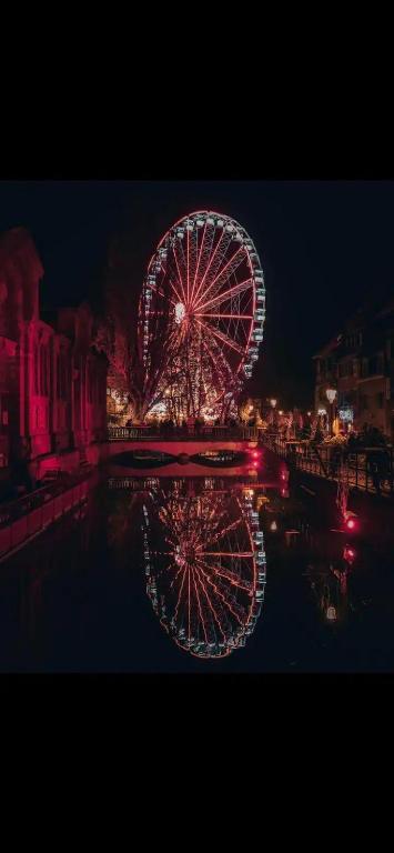 À la petite Venise hyper centre Colmar – photo 8