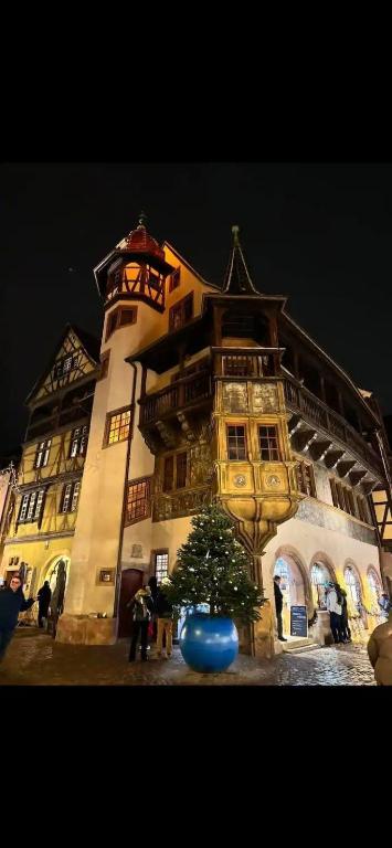 À la petite Venise hyper centre Colmar – photo 7