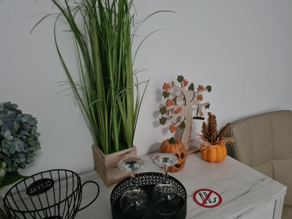 Nápoje v ubytování Bálint Borlak