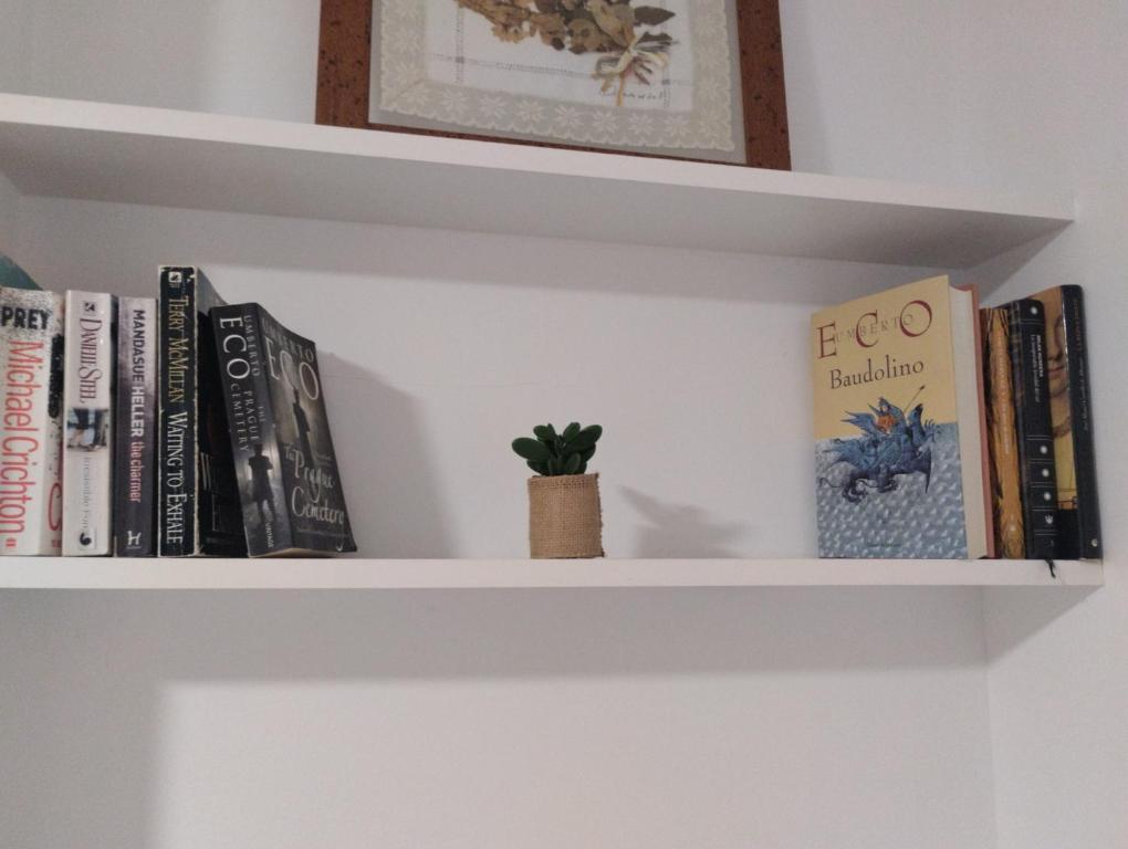 Biblioteca en el apartamento