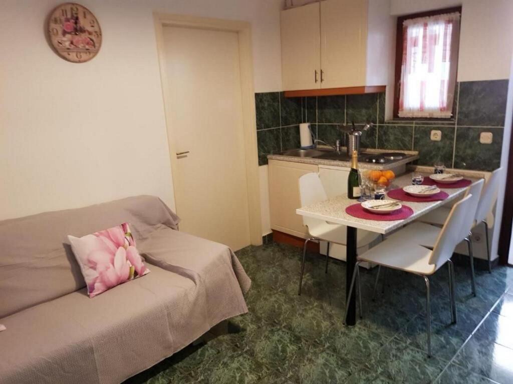 Kuchyň nebo kuchyňský kout v ubytování Apartments Diana Lovetovo