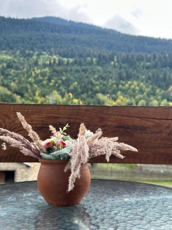 Φωτογραφία από το άλμπουμ του Hotel Ritur Mestia στη Μέστια