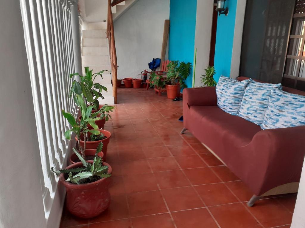 a hallway with a couch and potted plants at Malecon Beach House in Progreso 1 block from beach in Progreso