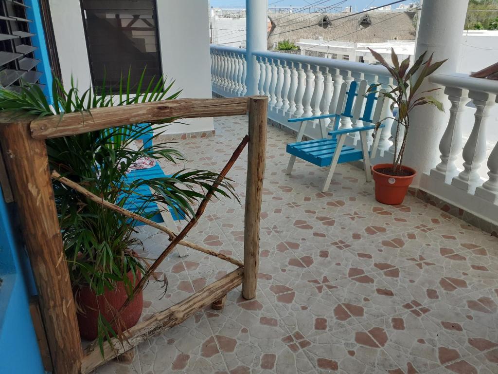 a porch with a blue chair and potted plants at Malecon Beach House in Progreso 1 block from beach in Progreso
