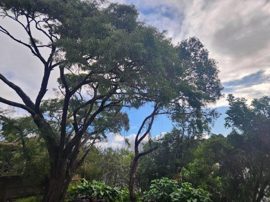 Mt Eden Kingsland At the heart of it all - Resim 14