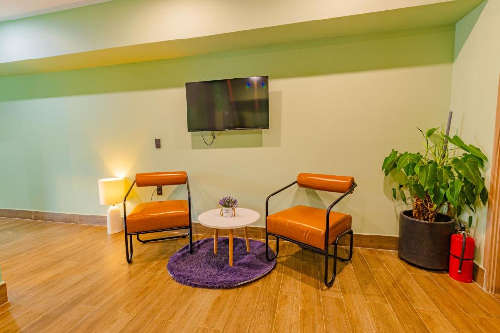 Green House - Căn hộ có bếp riêng - 10