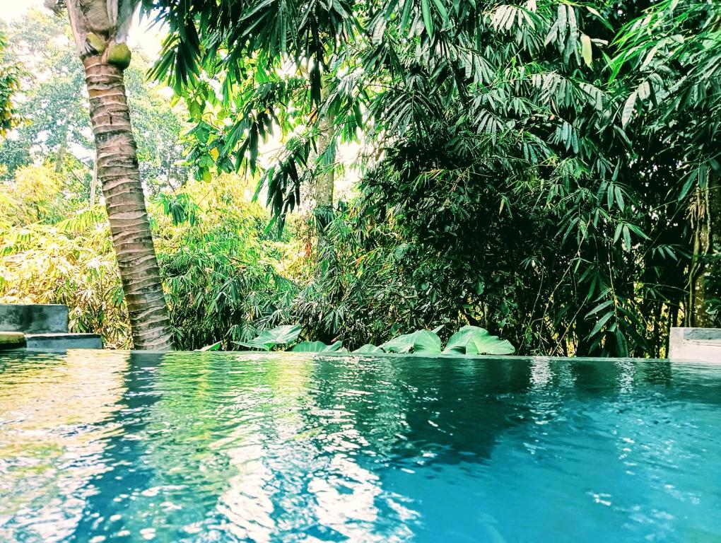 Bazén v ubytování Ngesil Private Joglo & Pool nebo v jeho okolí