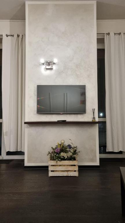 TV a/nebo společenská místnost v ubytování Intero appartamento fronte Ospedale San Raffaele
