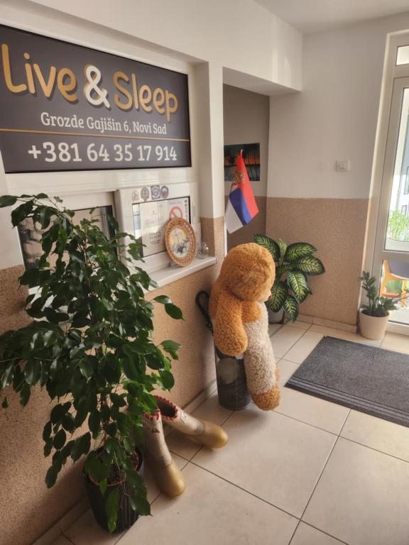 Fotografie z fotogalerie ubytování Live & Sleep v destinaci Novi Sad