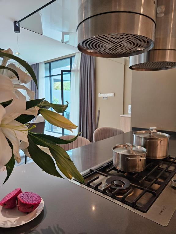 Köök või kööginurk majutusasutuses The Langkawi Luxury
