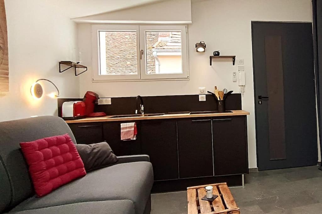 - un salon avec un canapé et un lavabo dans l'établissement Le mini loft - studio, à Nevers