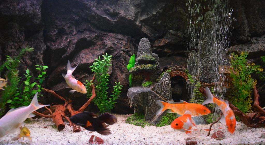 Belgrade City Hotel - Resim 43