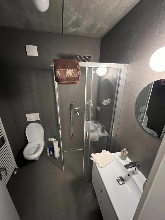 Koupelna v ubytování Apartmán pod sjezdovkou