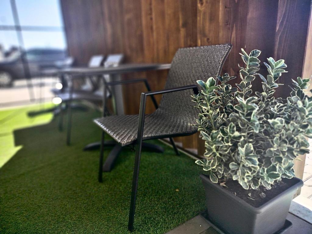 Dimael Hostel & Apartments - Resim 29