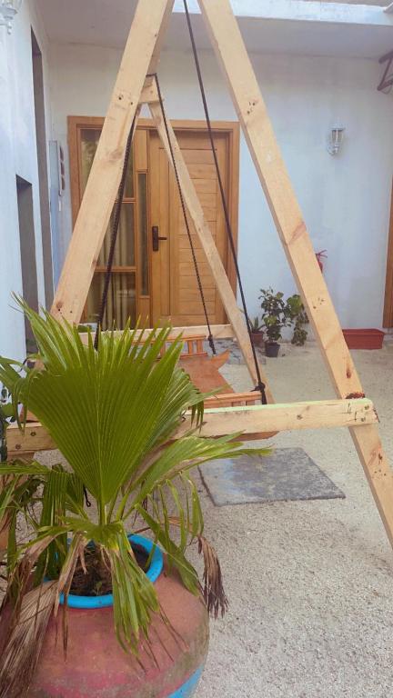 Fotografie z fotogalerie ubytování Island life Home Stay v destinaci Himmafushi