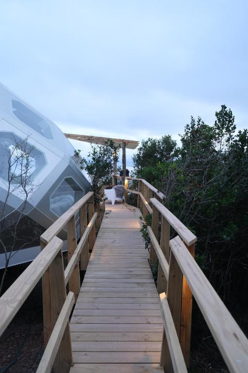 Příroda nedaleko luxury tent