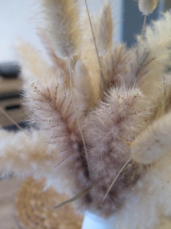 a close up of a stuffed animal with feathers at Maison de village à 35 m du bord de mer in Marseille