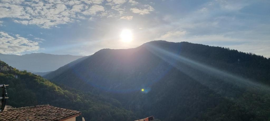 Příroda nedaleko apartmánu