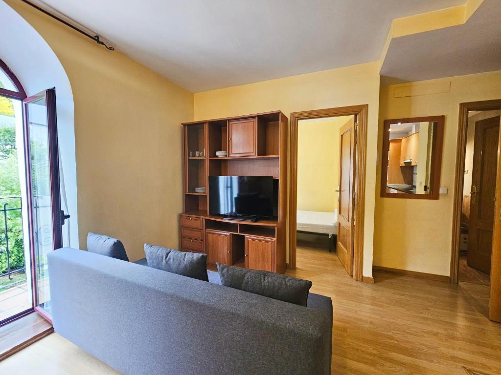 TV a/nebo společenská místnost v ubytování Apartamentos Canfranc 3000