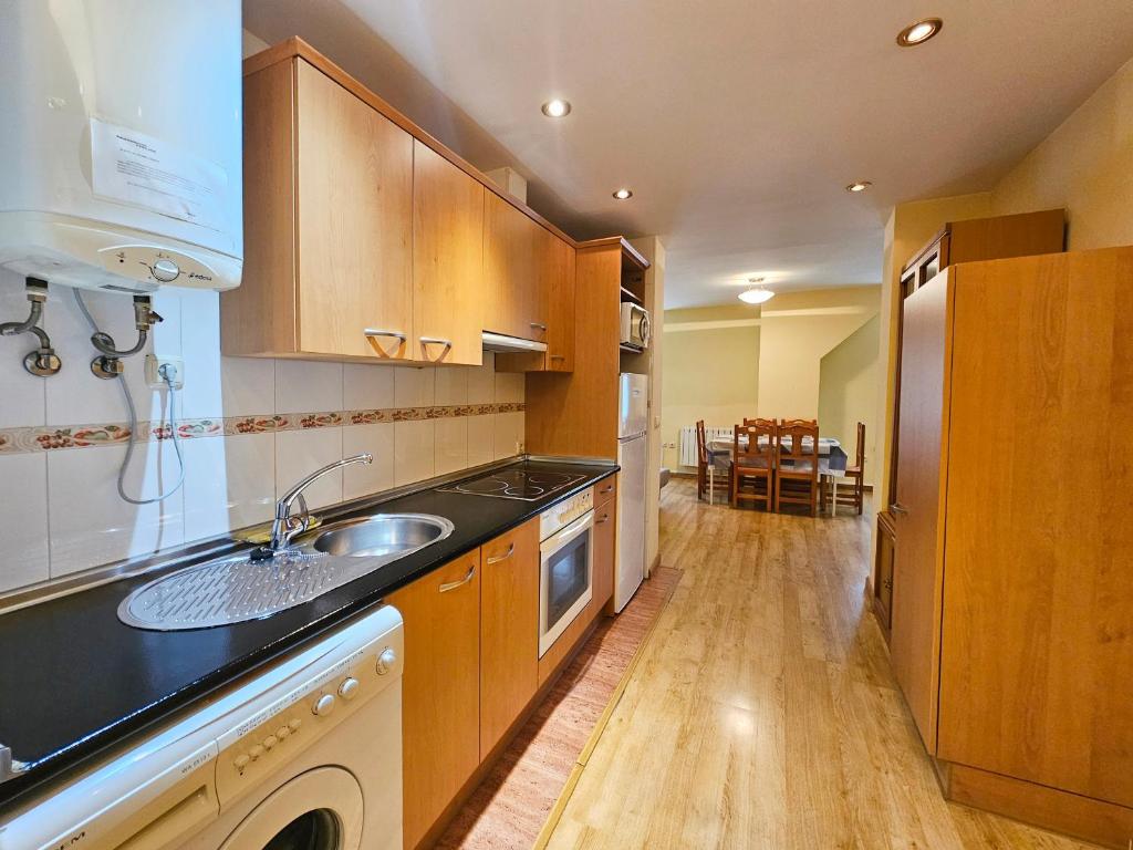 Kuchyň nebo kuchyňský kout v ubytování Apartamentos Canfranc 3000