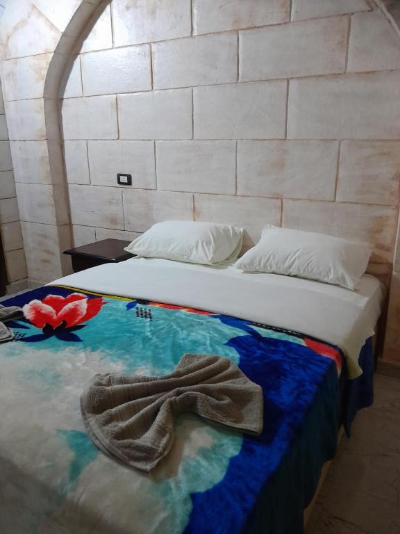 Kashta Nubian Guest Houst - 11