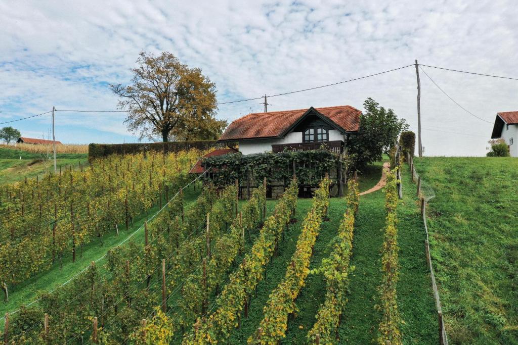 una fattoria con una casa in mezzo a un campo di Hiška Brajda a Rogaška Slatina