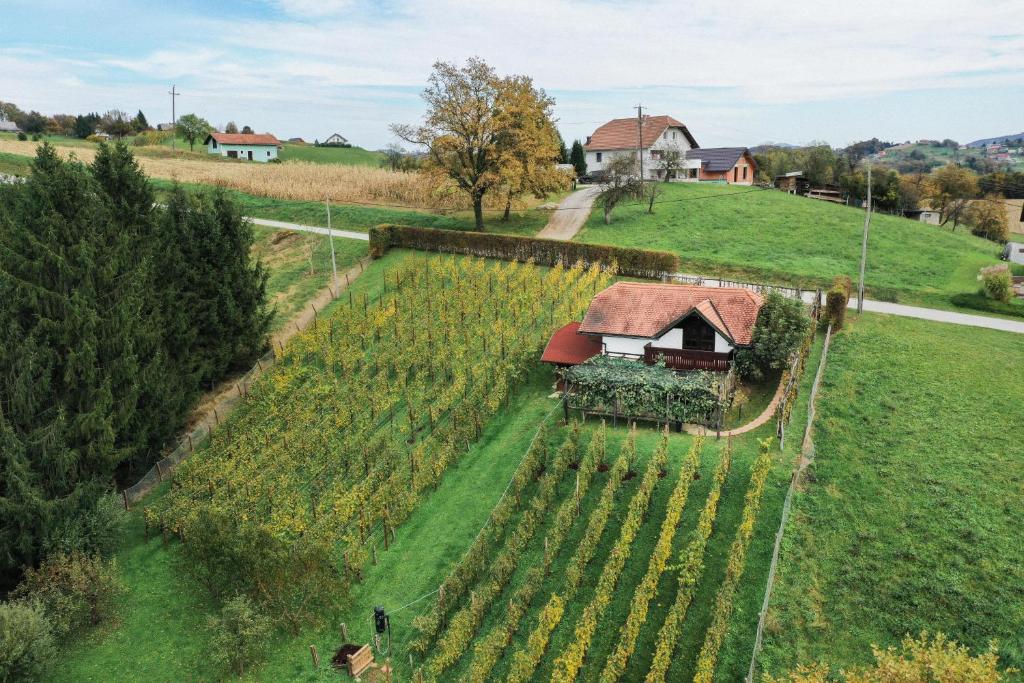 Giardino di Hiška Brajda