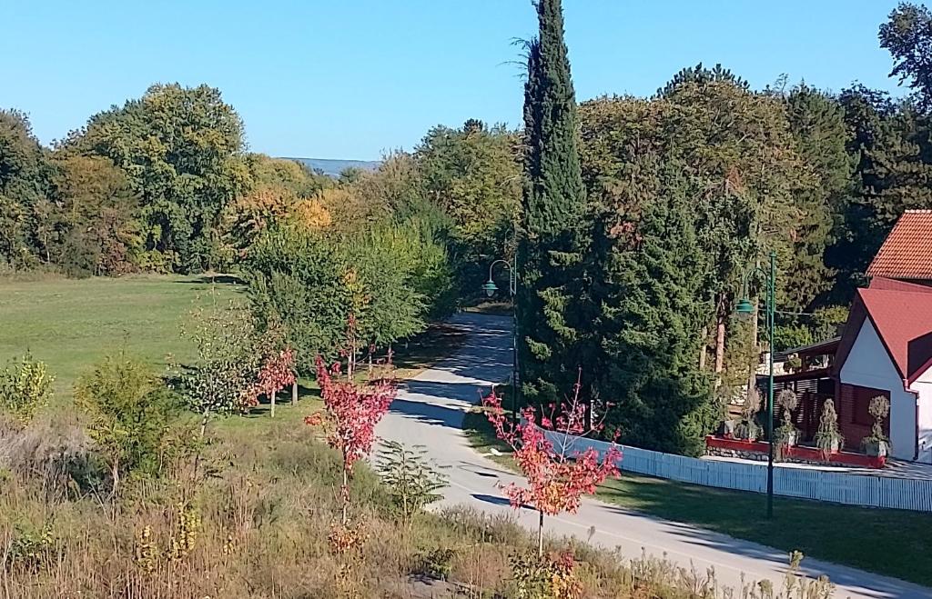 Priroda u blizini apartmana