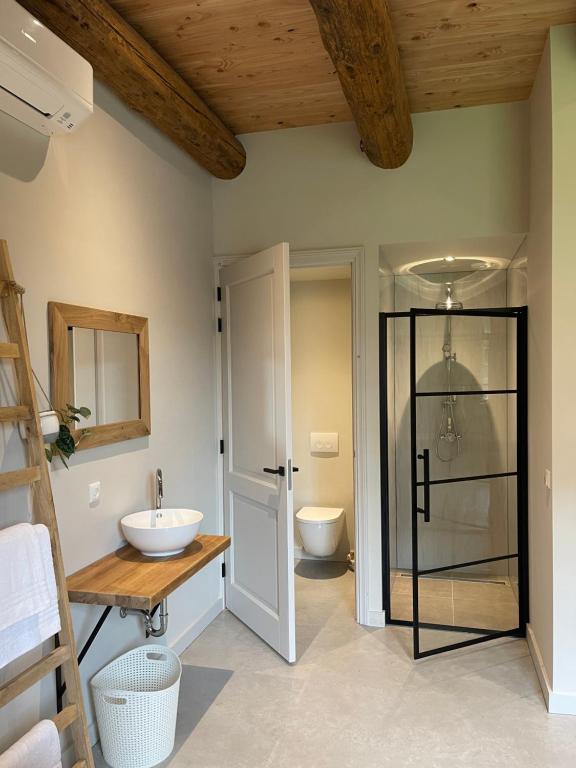 SuameerにあるAppartement Rijksmonument De Heidepleatsのガラスのシャワーと洗面台を備えたバスルーム