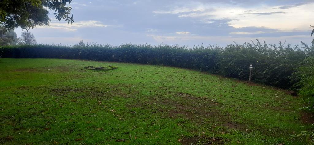 a field of grass with a row of trees at HappyHuts at Green valley view in Kodaikānāl