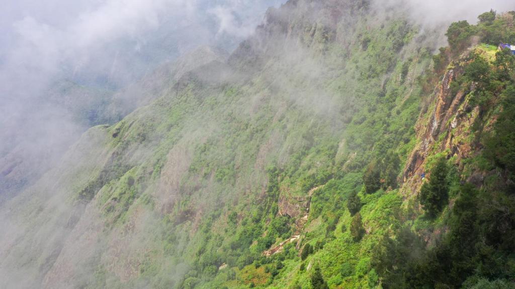 a misty mountain with trees on the side of it at HappyHuts at Green valley view in Kodaikānāl