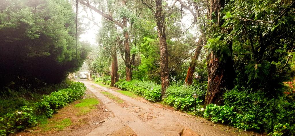 a dirt road in the middle of a forest at HappyHuts at Green valley view in Kodaikānāl