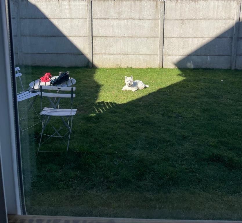 Taman di luar Arriendo habitación diaria doble