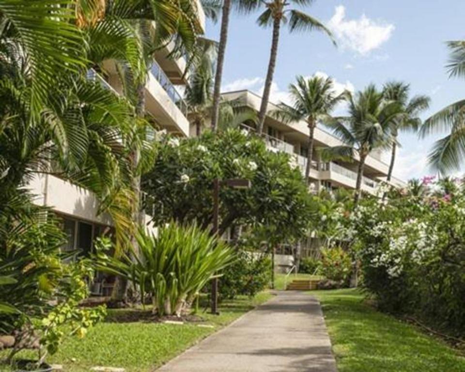 Zahrada ubytování Luxury Condo at Kameole Beach T106