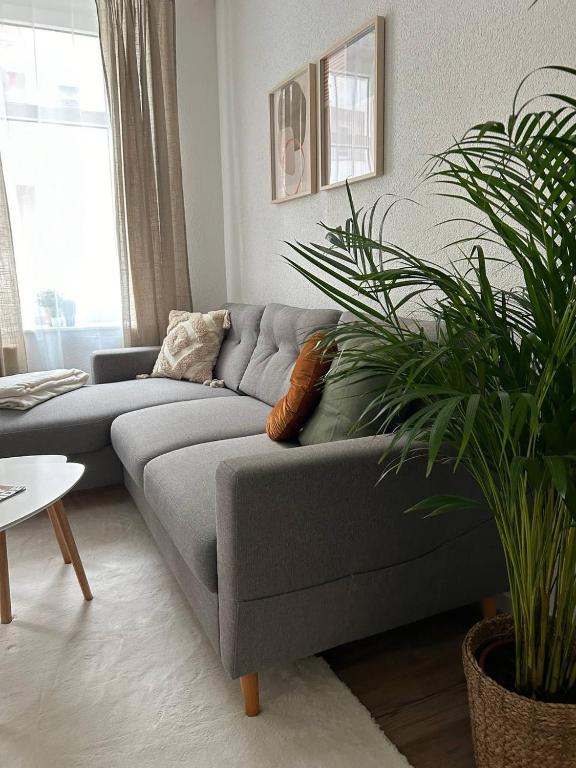 a living room with a gray couch and a plant at Modernes Apartment - Leipzig Alt-West in Leipzig