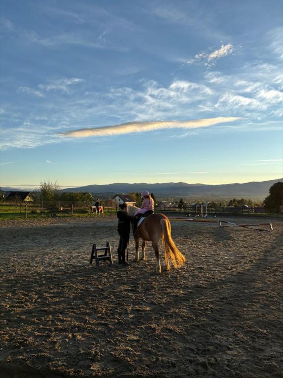 Hosté ubytování Rancho-Bierna