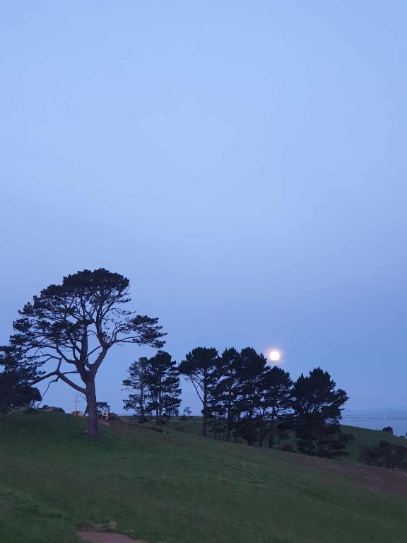 Apartment 3 - Resim 20