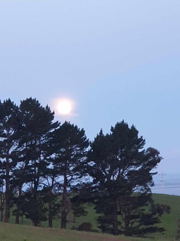 Apartment 3 - Resim 19