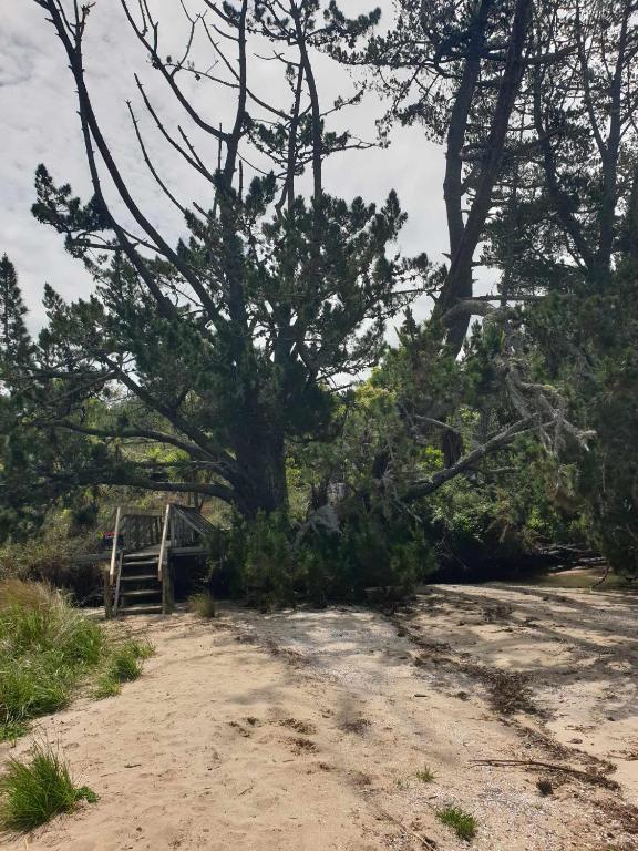 Apartment 3 - Resim 15